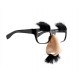 Gafas con nariz groucho