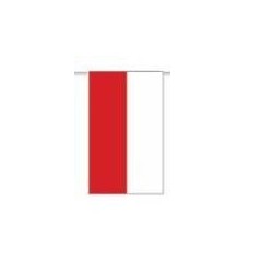 Bandera plastico Cantabria 20x30 cm 50 metros