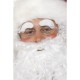 Cejas blancas santa claus papa noel