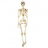 Esqueleto 90 cms halloween