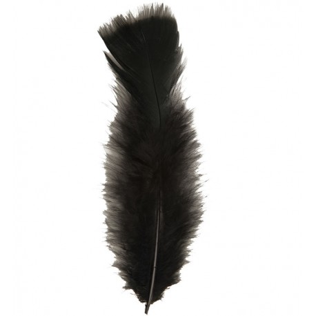 Plumas negras de 10 cm 50 unidades