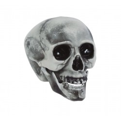 Calavera o craneo gris 20 cm en PVC