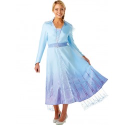 Disfraz Elsa Frozen 2 para adulto talla S