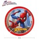 Platos Spiderman cumpleanos 6 uds 23 cm