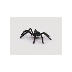 Tarantula clavo peq