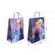 Bolsa regalo Frozen 40x32x14 cm